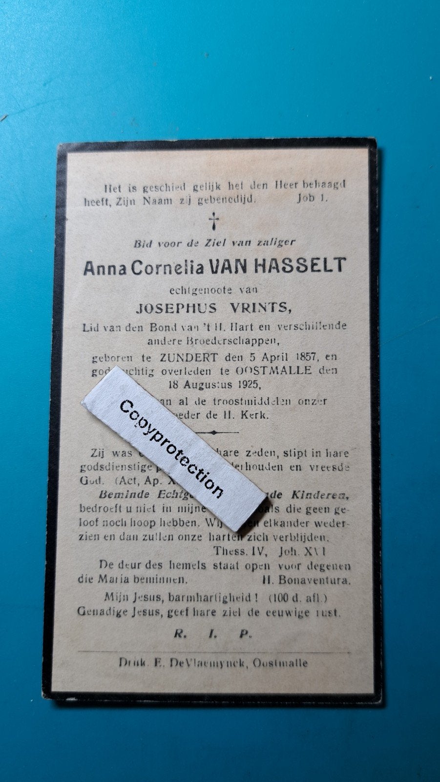 Anna Cornelia Van Hasselt, Zundert 1857, + Oostmalle 1925, Verzenden, Bidprentje