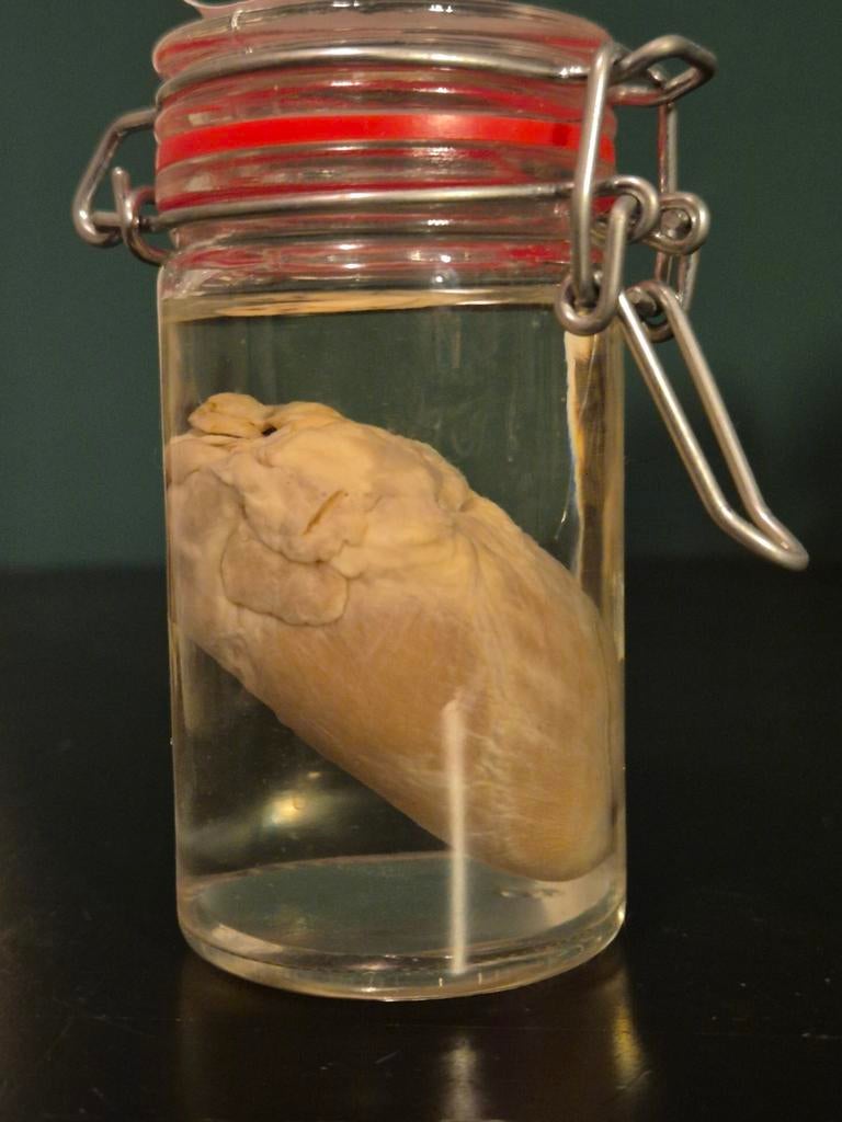 Te koop: hazen hart op sterk water, Verzamelen, Dierenverzamelingen, Ophalen of Verzenden, Nieuw, Wild dier, Overige typen