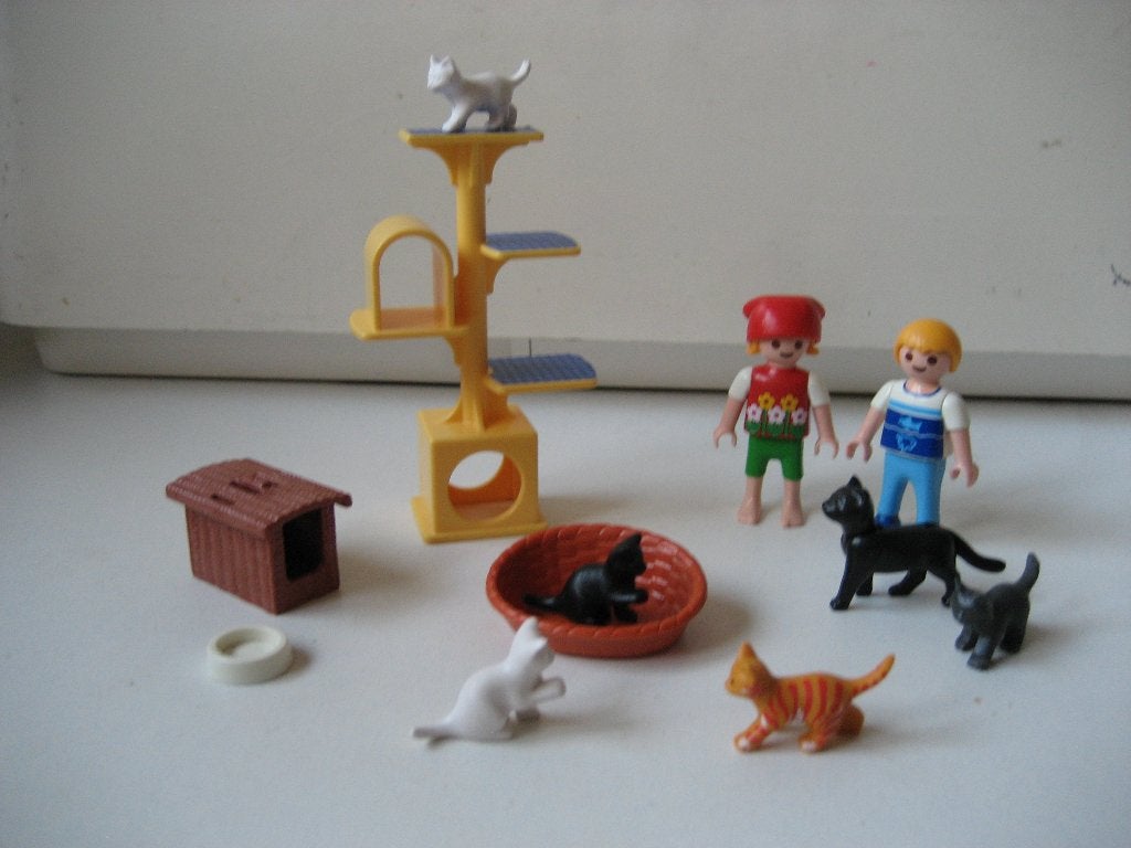 playmobil kinderen met poezen bij krabpaal, Ophalen of Verzenden, Zo goed als nieuw
