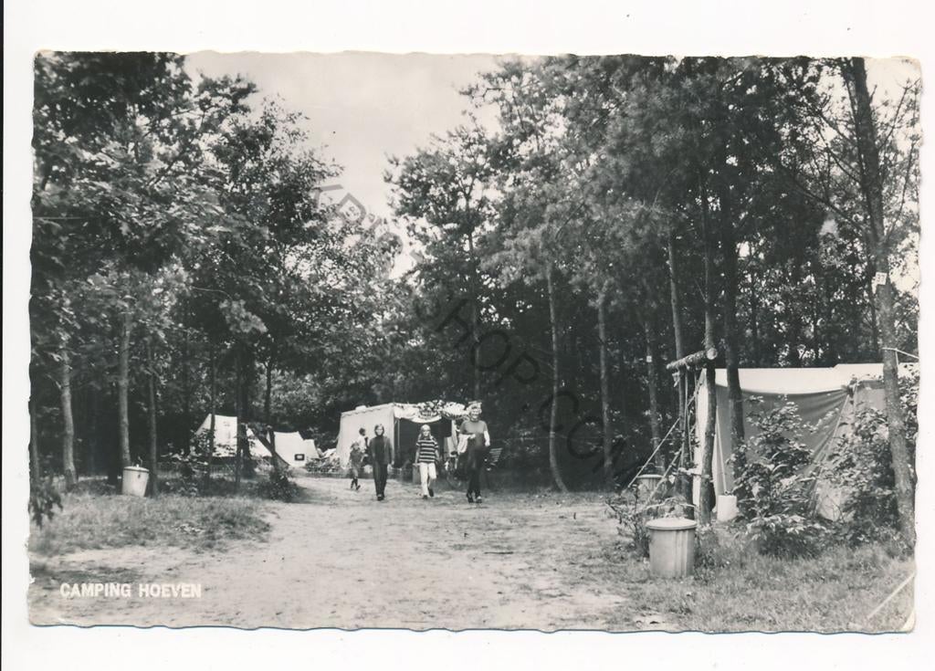 Bosschenhoofd - Camping Hoeven [KRST003-5118, Verzenden, 1940 tot 1960, Ongelopen, Noord-Brabant