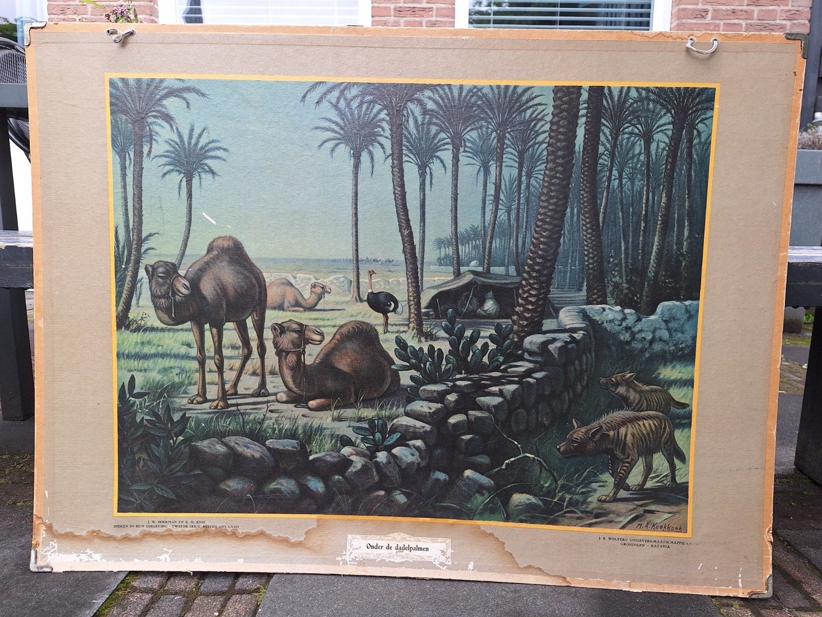 Oude schoolplaat 'Onder de dadelpalmen' - Natuur & Biologie, Antiek en Kunst, Ophalen of Verzenden, Natuur en Biologie