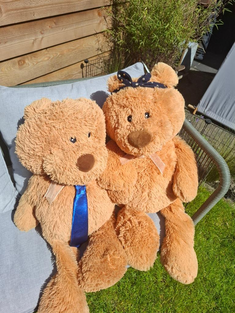 Blokker knuffelberen - set van 2, Ophalen, Overige merken, Overige karakters, Beer
