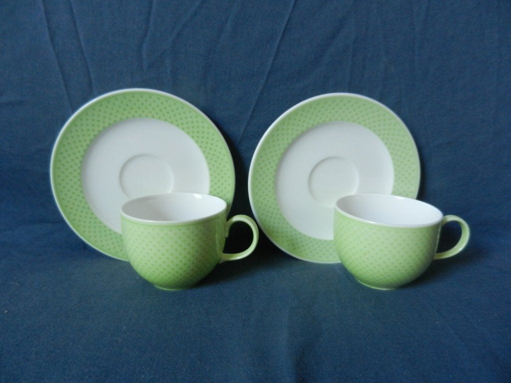 Twee koppen en schotels Villeroy en Boch model Tipo GreenCom, Villeroy & Boch, Ophalen of Verzenden, Zo goed als nieuw, Modern