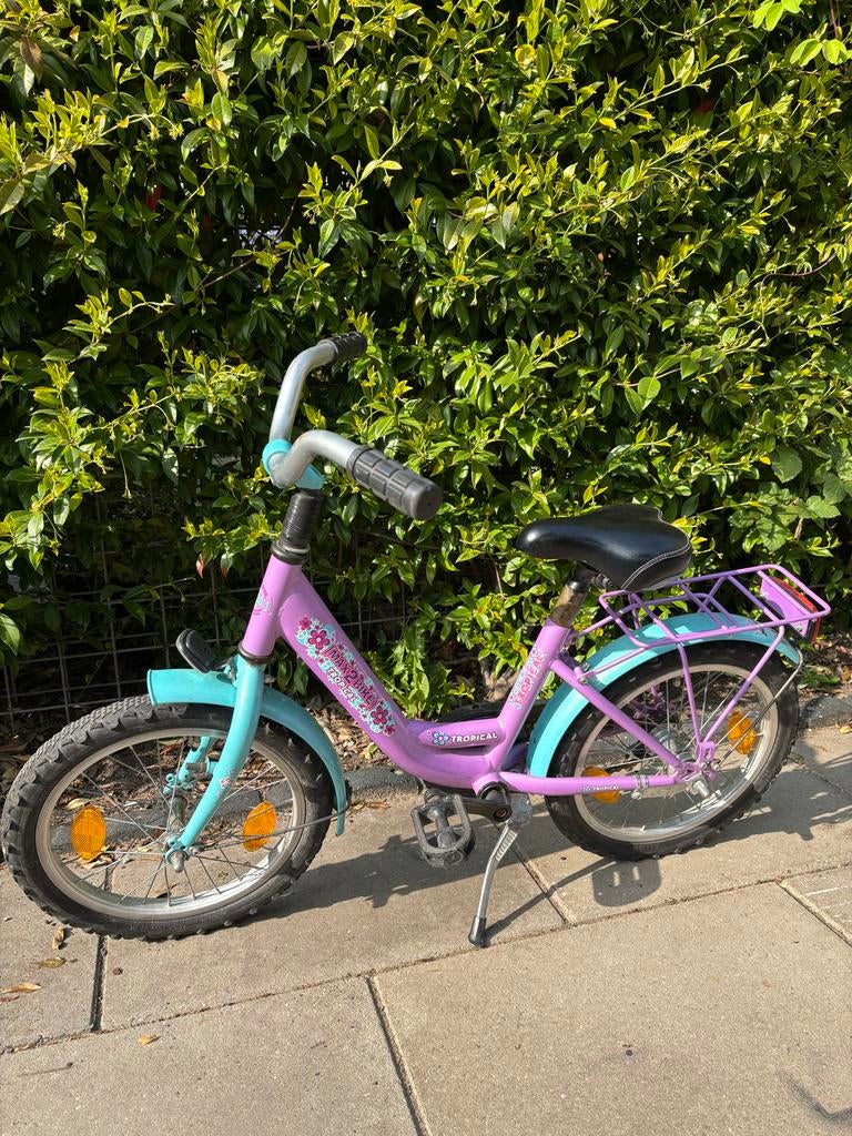 Kinderfiets 16 inch - Paars/Blauw - Gebruikt, Fietsen en Brommers, Fietsaccessoires | Aanhangers en Karren, Ophalen, Gebruikt
