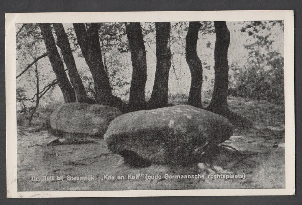 De Bult bij Steenwijk Grote Steen Koe en Kalf Gelopen 1970, Ophalen of Verzenden, 1960 tot 1980, Gelopen, Overijssel