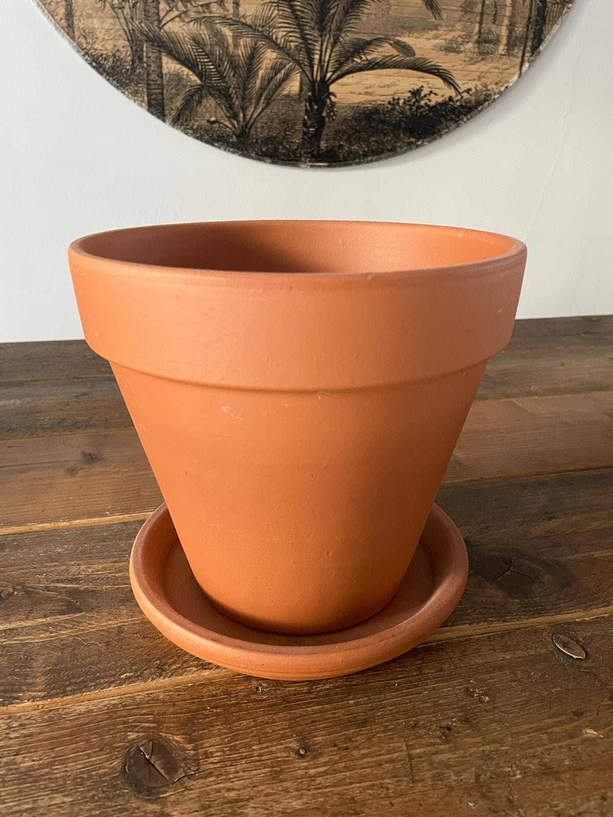 Terracotta bloempot met schotel - Zo goed als nieuw, Ophalen, Overige materialen, Minder dan 30 cm, Minder dan 60 cm