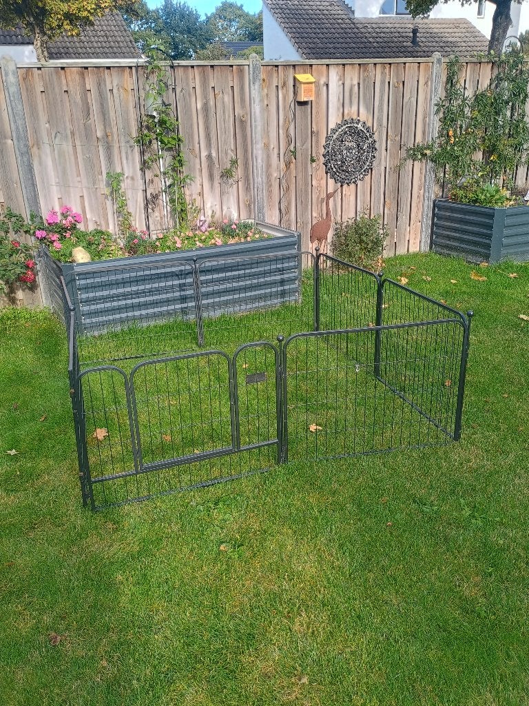 Te koop mooie puppy ren, Dieren en Toebehoren, Ophalen, Zo goed als nieuw