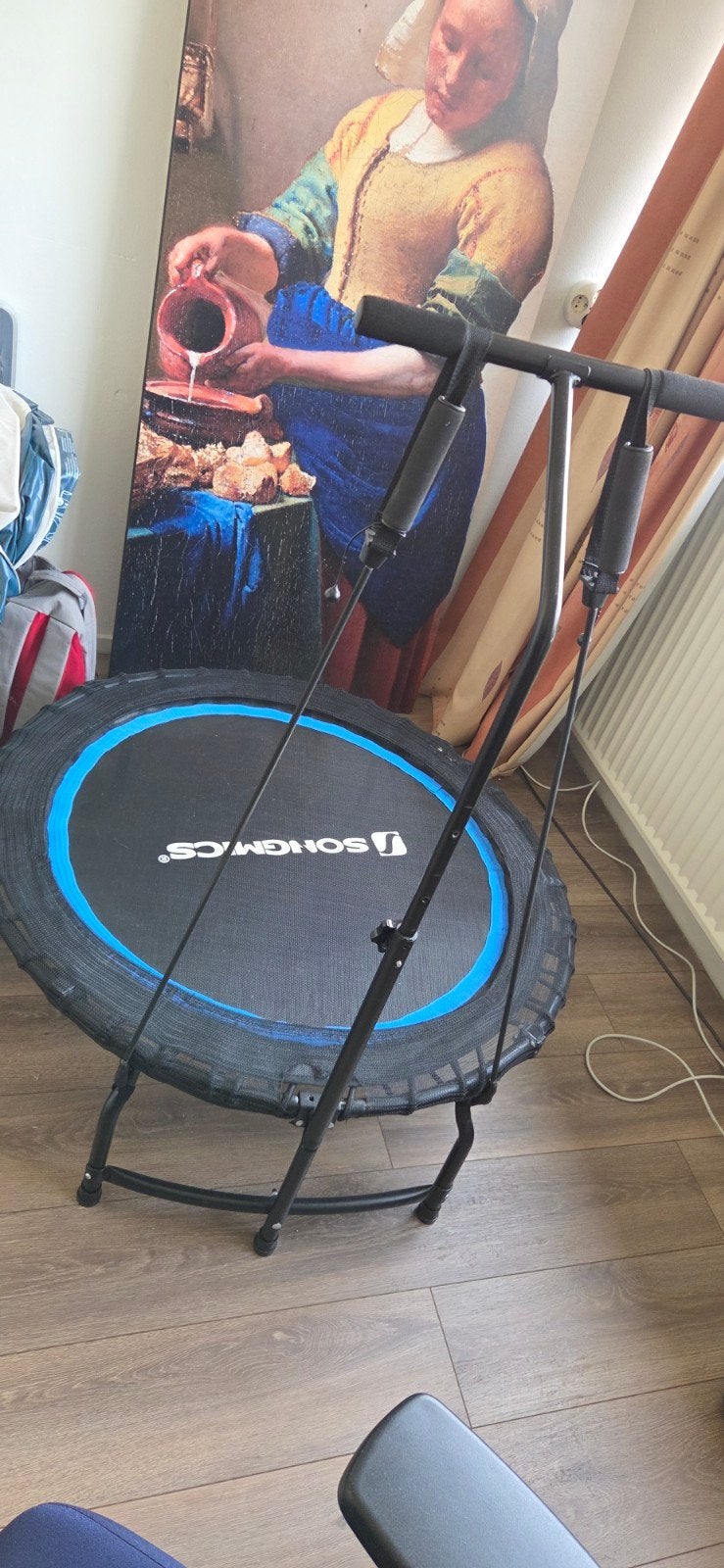 Training trampoline