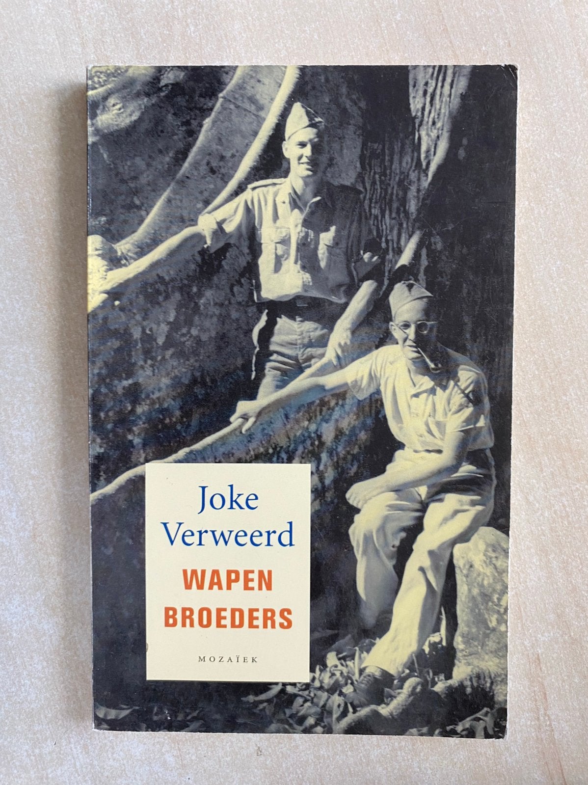 Wapenbroeders (Joke Verweerd), Ophalen of Verzenden, Zo goed als nieuw