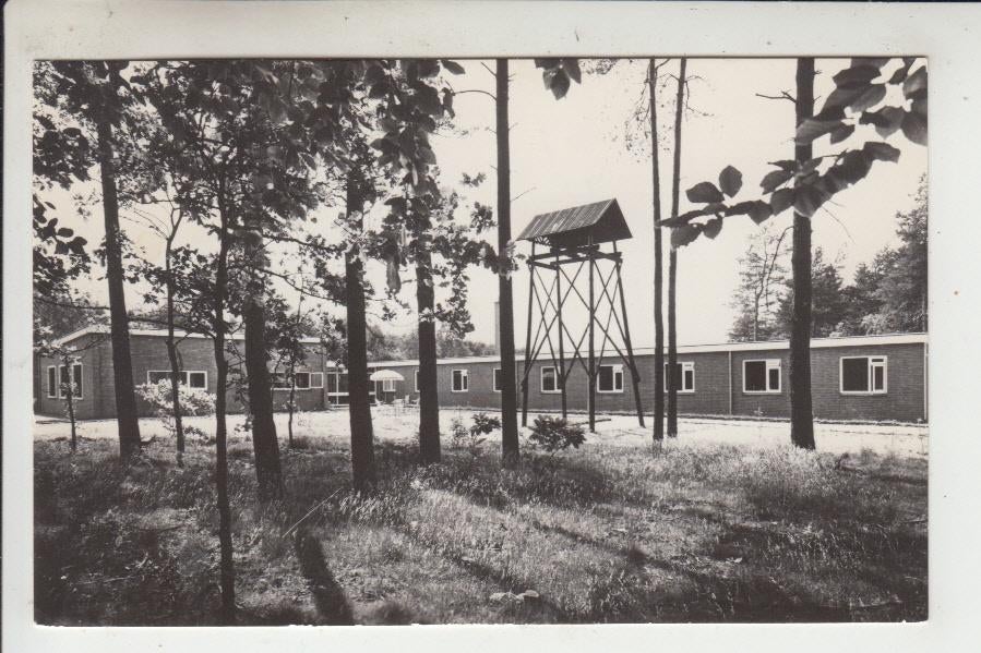 Ermelo, Dennenheul, Ophalen of Verzenden, 1960 tot 1980, Gelopen, Gelderland