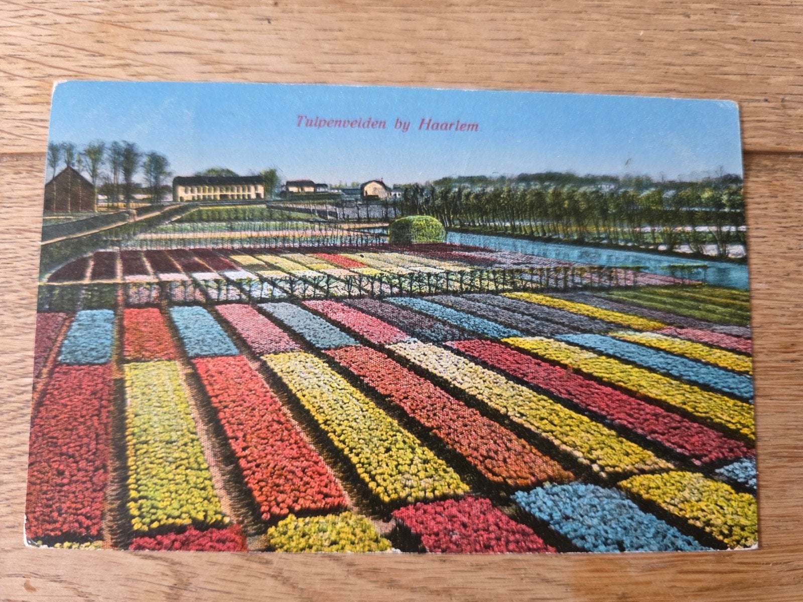 bollenvelden omgeving Haarlem, Ophalen of Verzenden