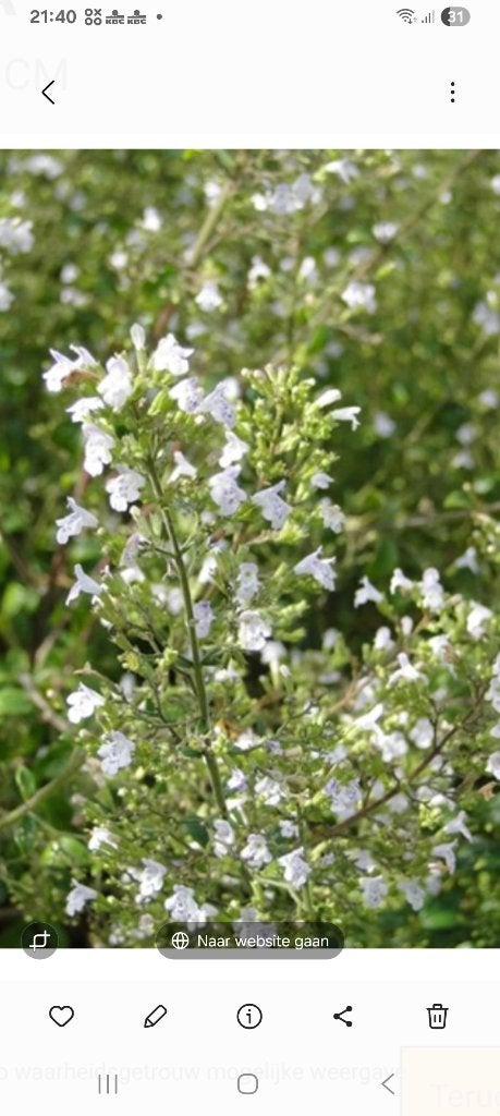 Vaste planten, Ophalen, Overige soorten, Volle zon
