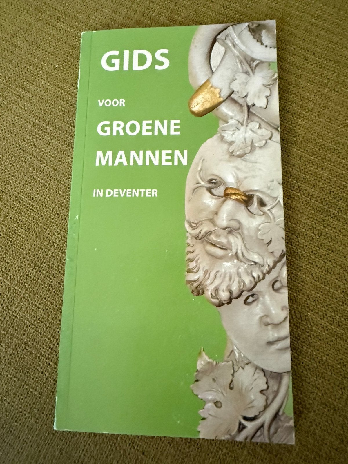 Gids voor Groene mannen on Deventer, Ophalen of Verzenden, Zo goed als nieuw, Spiritualiteit algemeen, Achtergrond en Informatie