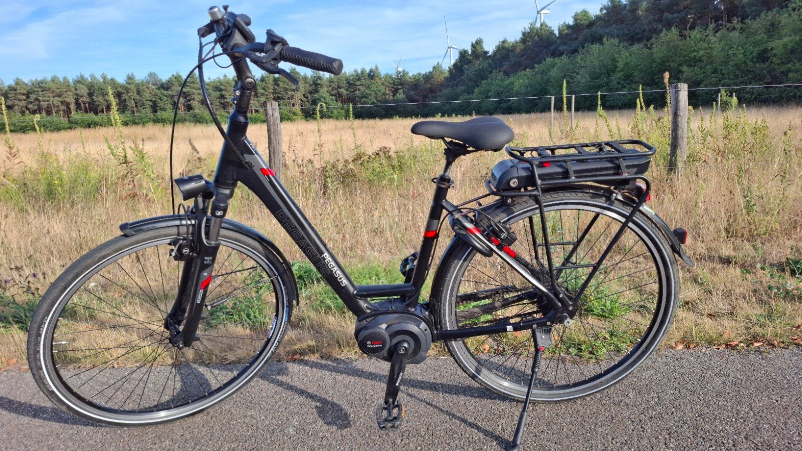 Pegasus E-Bike met grote actieradius, Zo goed als nieuw, 51 tot 55 cm, 50 km per accu of meer, Ophalen