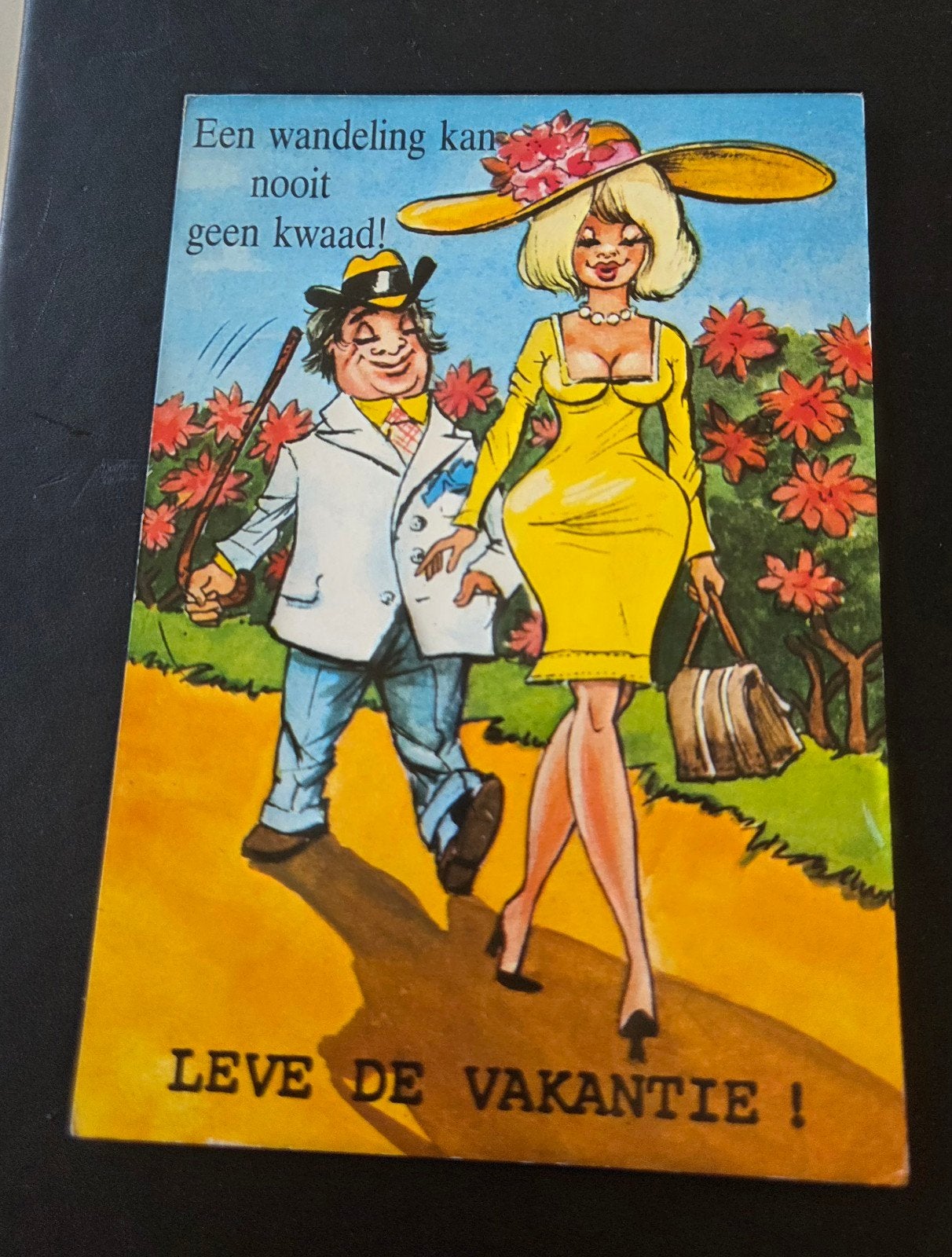 Leve de Vakantie!, Verzamelen, Ansichtkaarten | Themakaarten, Verzenden, 1960 tot 1980, Gelopen, Overige thema's