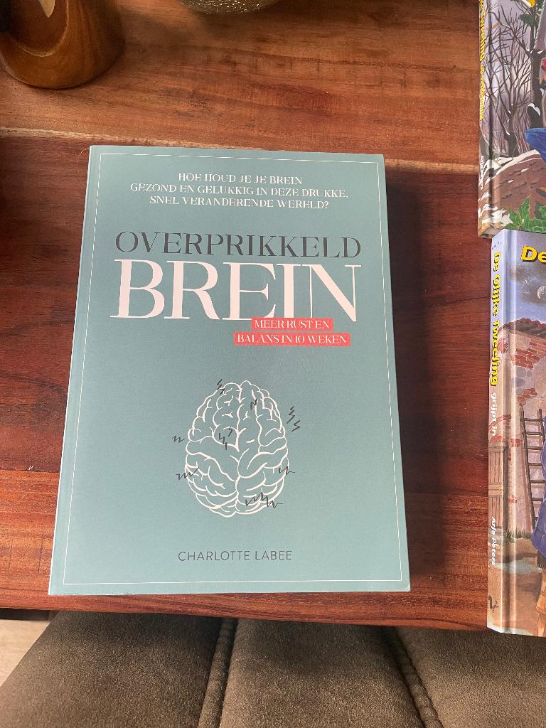 Overprikkeld brein Charlotte labee *nieuw*, Ophalen of Verzenden, Nieuw, Cognitieve psychologie, Charlotte Labee