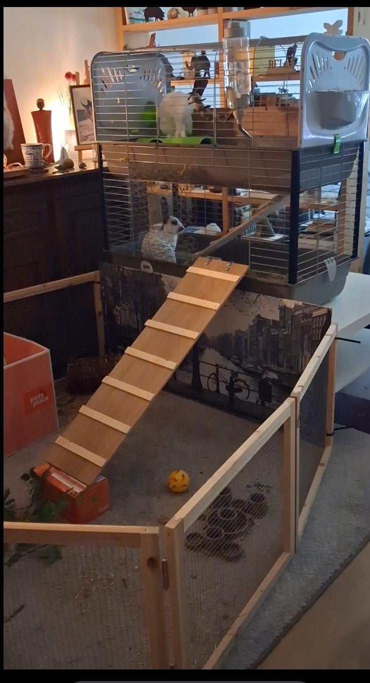 Binnenhok voor dwergkonijnen, op salontafel met ren, enz., Dieren en Toebehoren, Ophalen, Zo goed als nieuw, 90 cm of meer, Konijn
