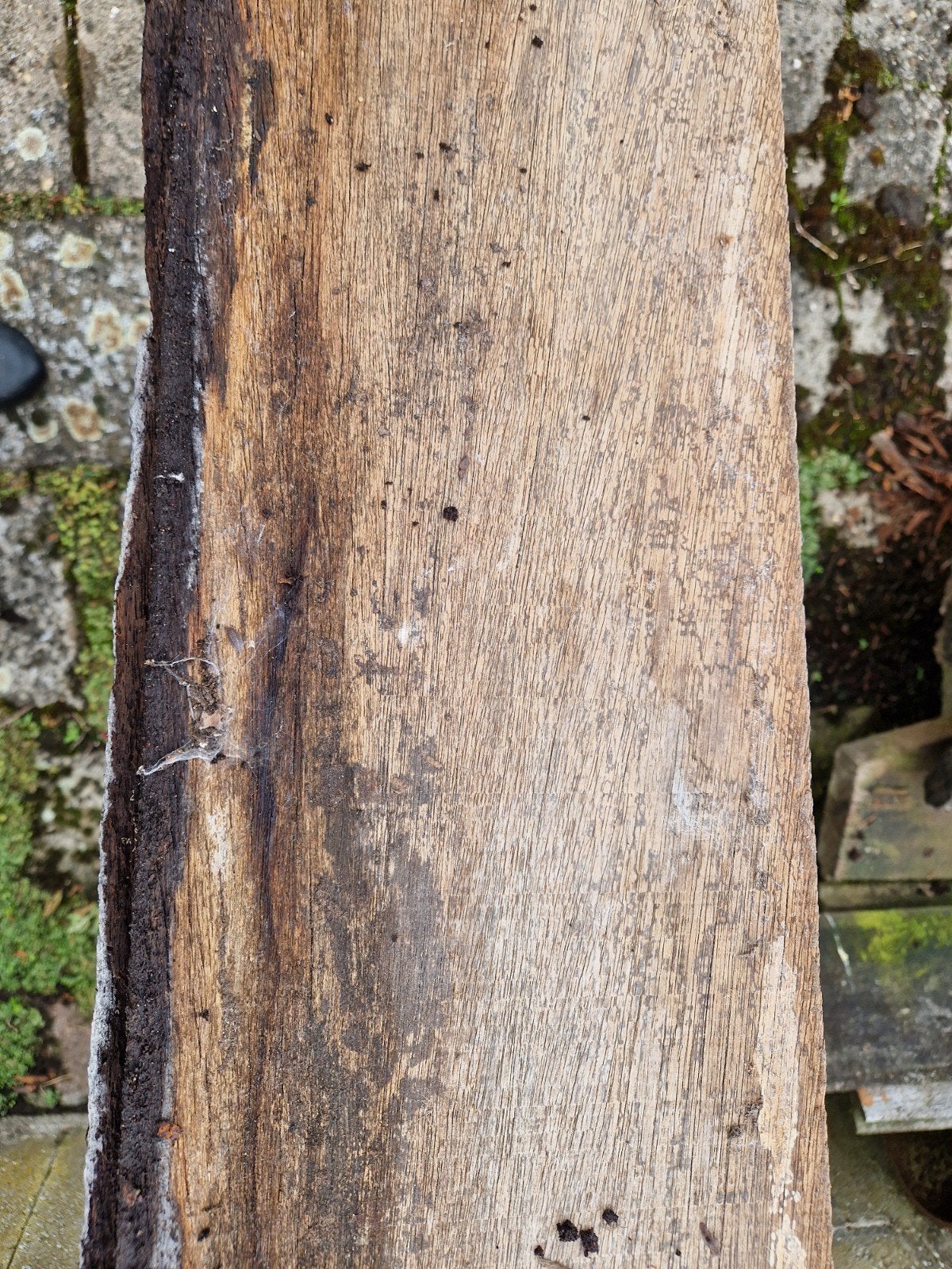 6 Bankirai planken van 360 cm, Ophalen of Verzenden