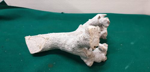 Sierhout wit grijskleurig, Ophalen of Verzenden, 'T Olde Gre-j, Info@toldegrej.nl, Endepoelstraat 20f Didam
