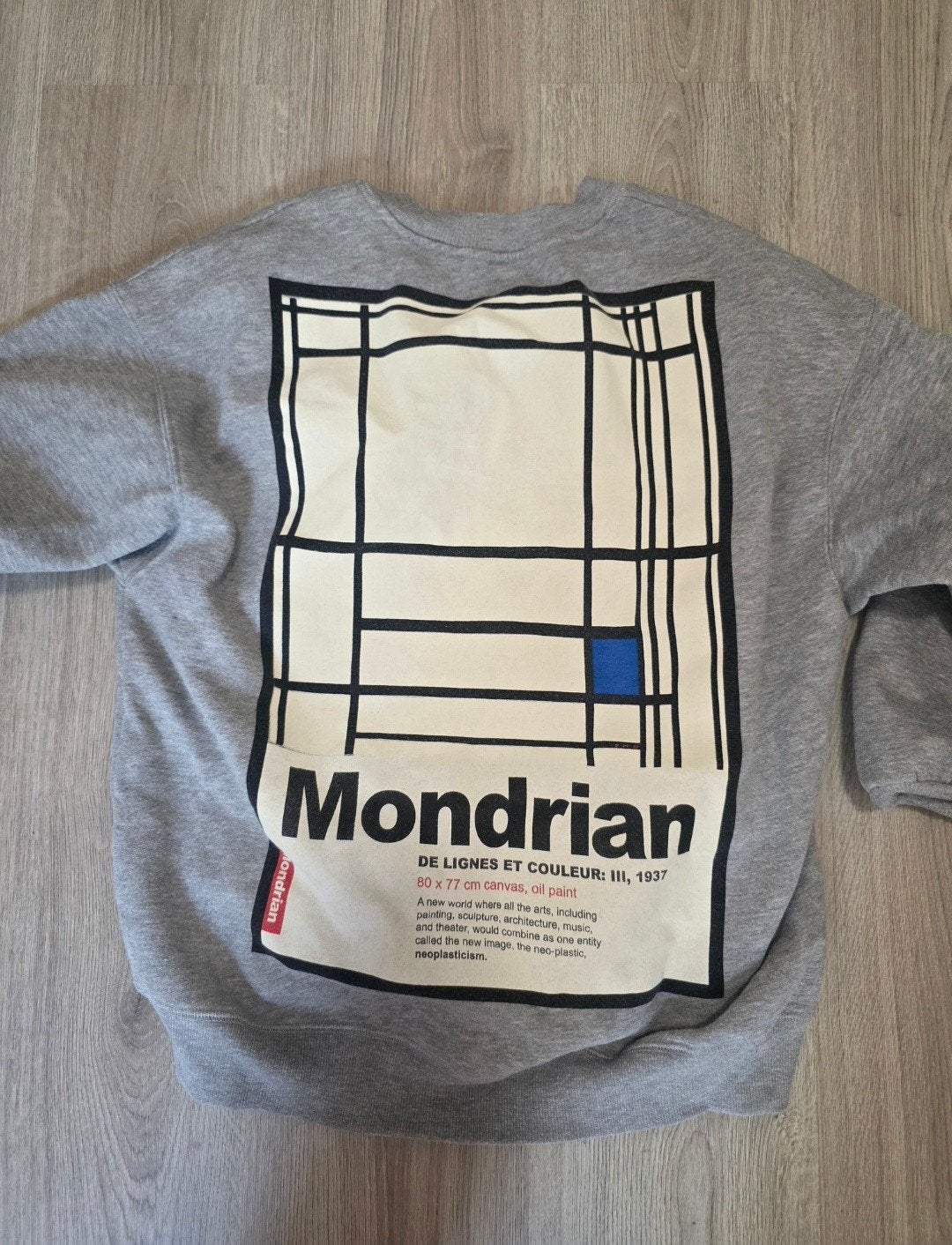 Mondrian sweatshirt grijs met kunstprint, Kleding | Dames, Maat 38/40 (M), Ophalen of Verzenden, Lange mouw, Mondrian