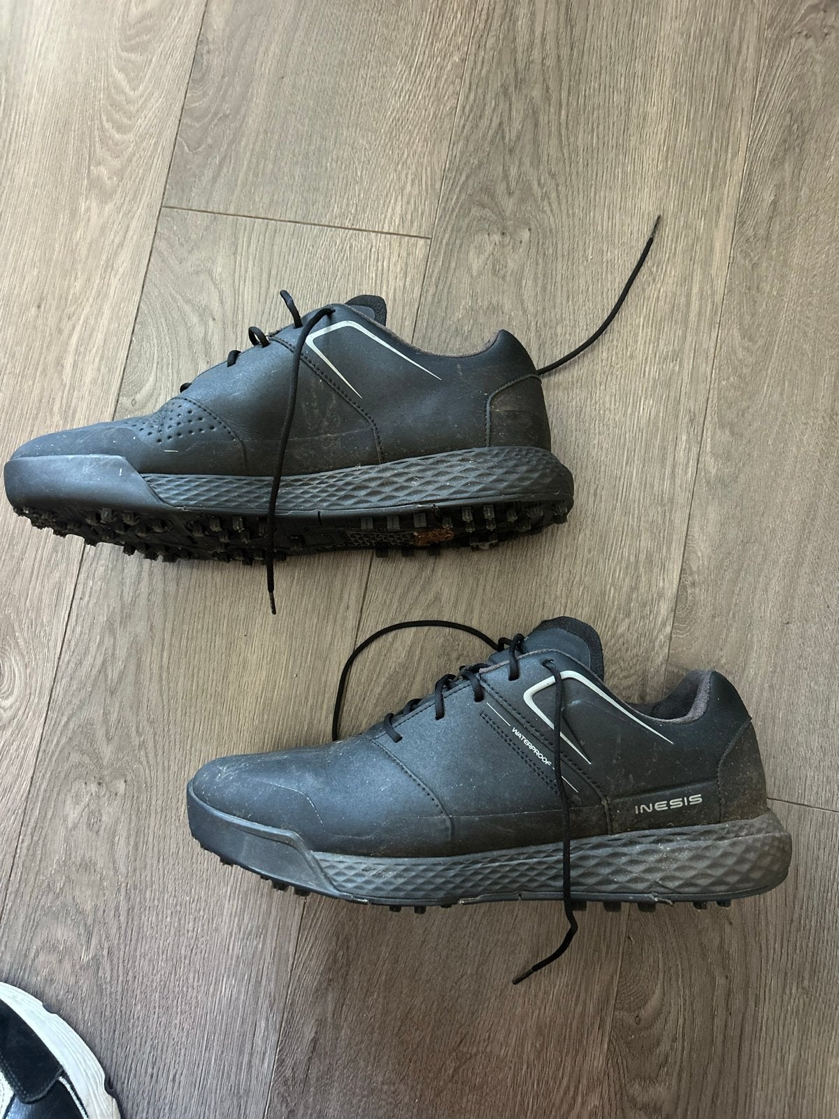 Inesis golfschoenen heren maat 46, Ophalen of Verzenden, Gebruikt, Schoenen, Overige merken