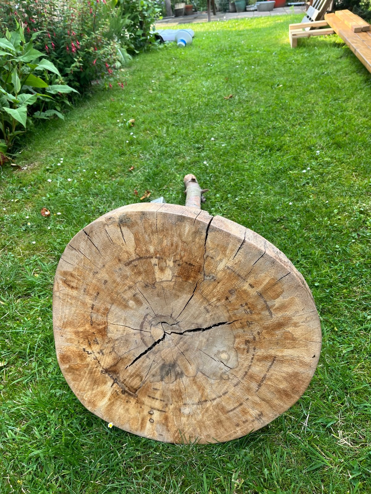 Decoratieve houten schijf met takken onderstel en lessenaar, Tuin en Terras, Ophalen, Gebruikt, Minder dan 180 cm, Overige typen