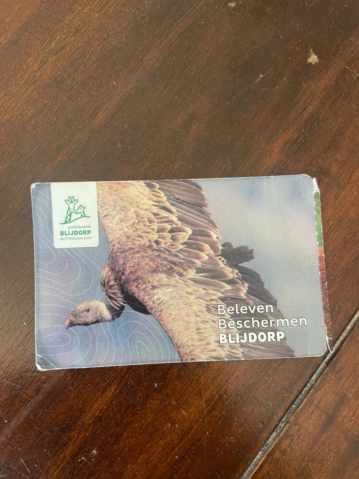 Entree Blijdorp