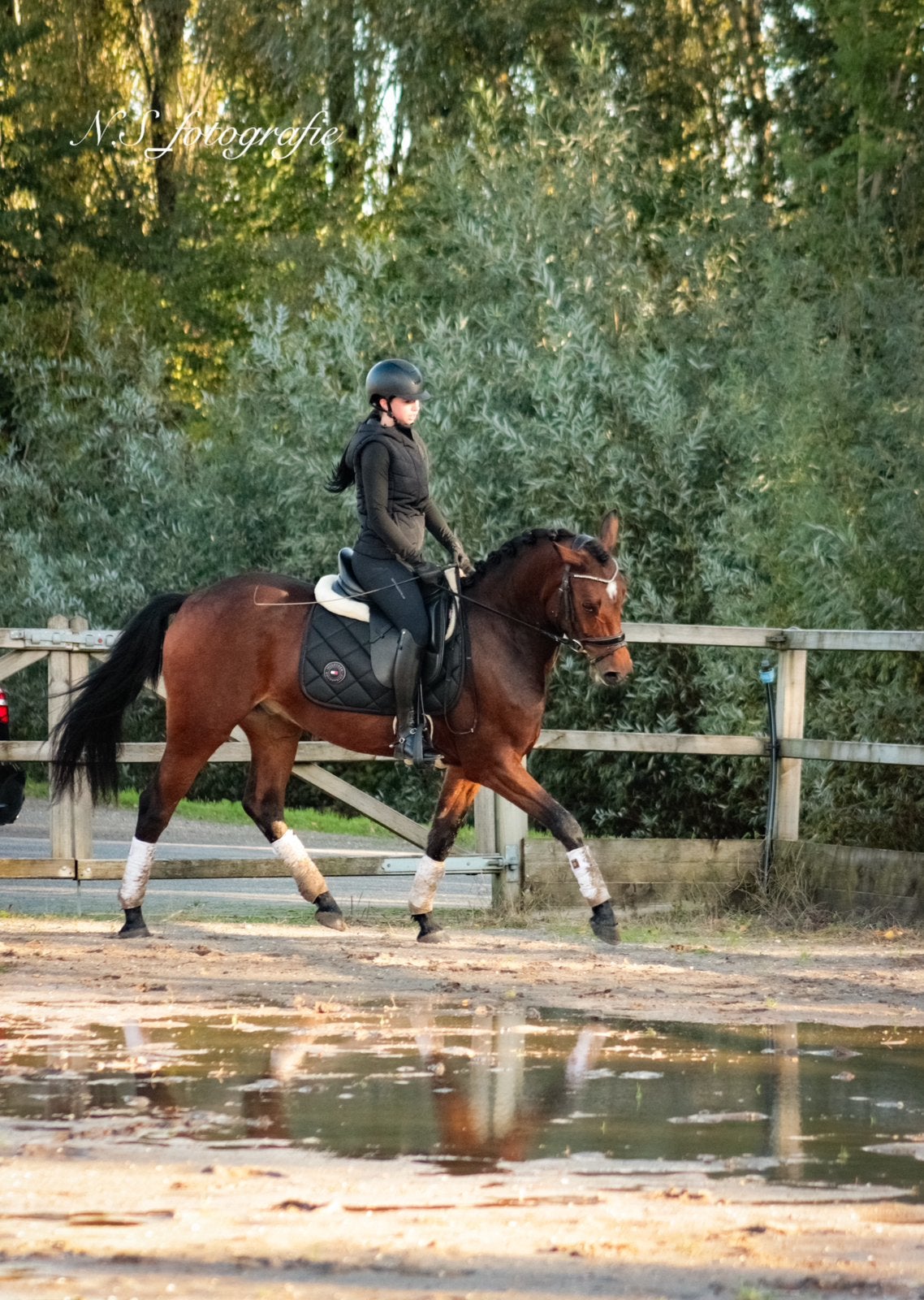 Lieve 3,5 jarige sportpony te koop!, E pony (1.48m - 1.57m), Ruin, Dressuurpony, 3 tot 6 jaar