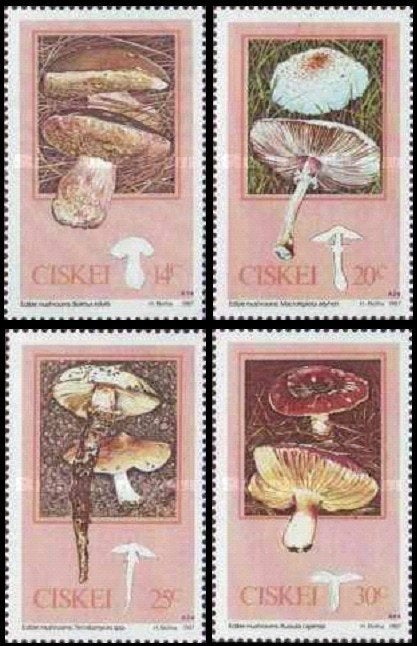 CISKEI 1987 Paddenstoelen, Michel: 110-13, Postfris., Verzenden, Postfris, Dier of Natuur