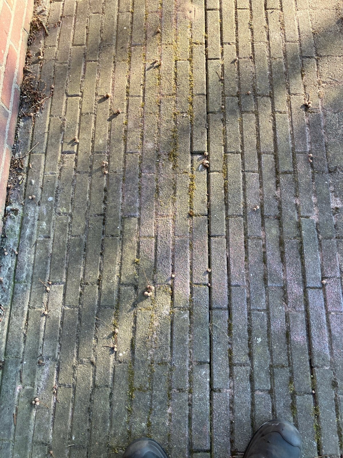 Straatstenen, Ophalen, Gebruikt, Beton, Klinkers