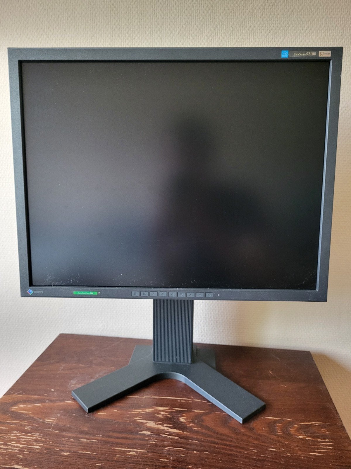 Eizo FlexScan S2100 monitor met kabels, Computers en Software, Monitoren, Ophalen, IPS, Eizo, Zo goed als nieuw