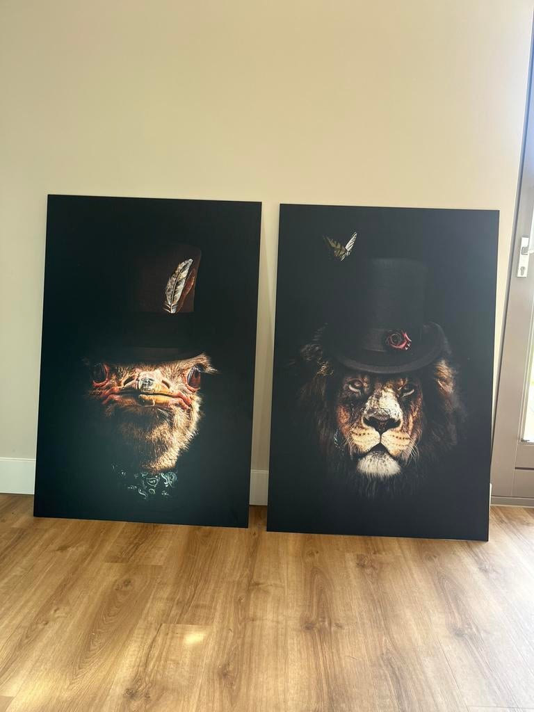 Foto gedrukt op aluminium. Leeuw en struisvogel, Ophalen, Zo goed als nieuw