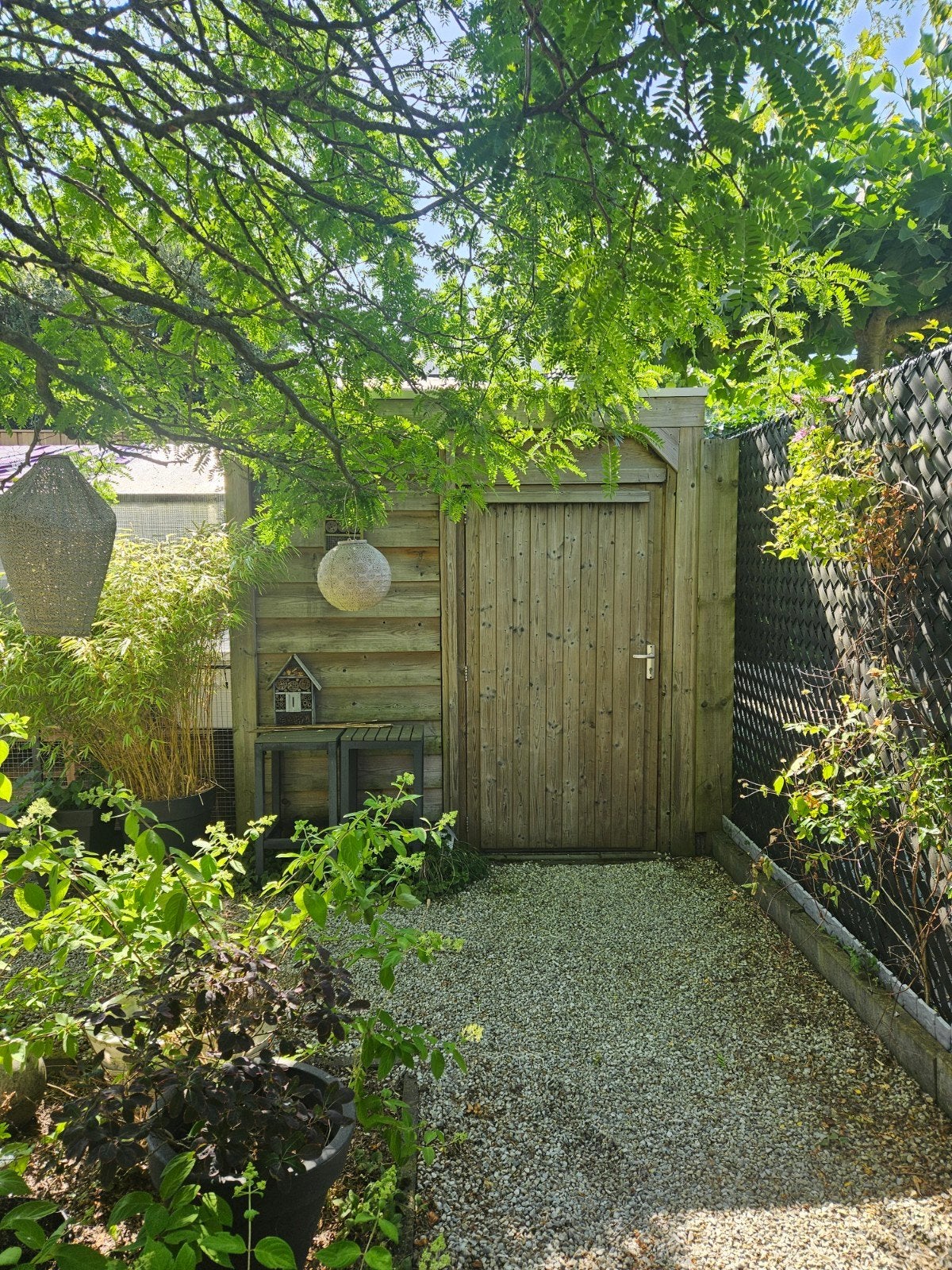 Gratis rabbat hout schuur 2.5 mtrbreed 3.5 mtr diep, Tuin en Terras, Tuinhuizen, Ophalen, Schuur