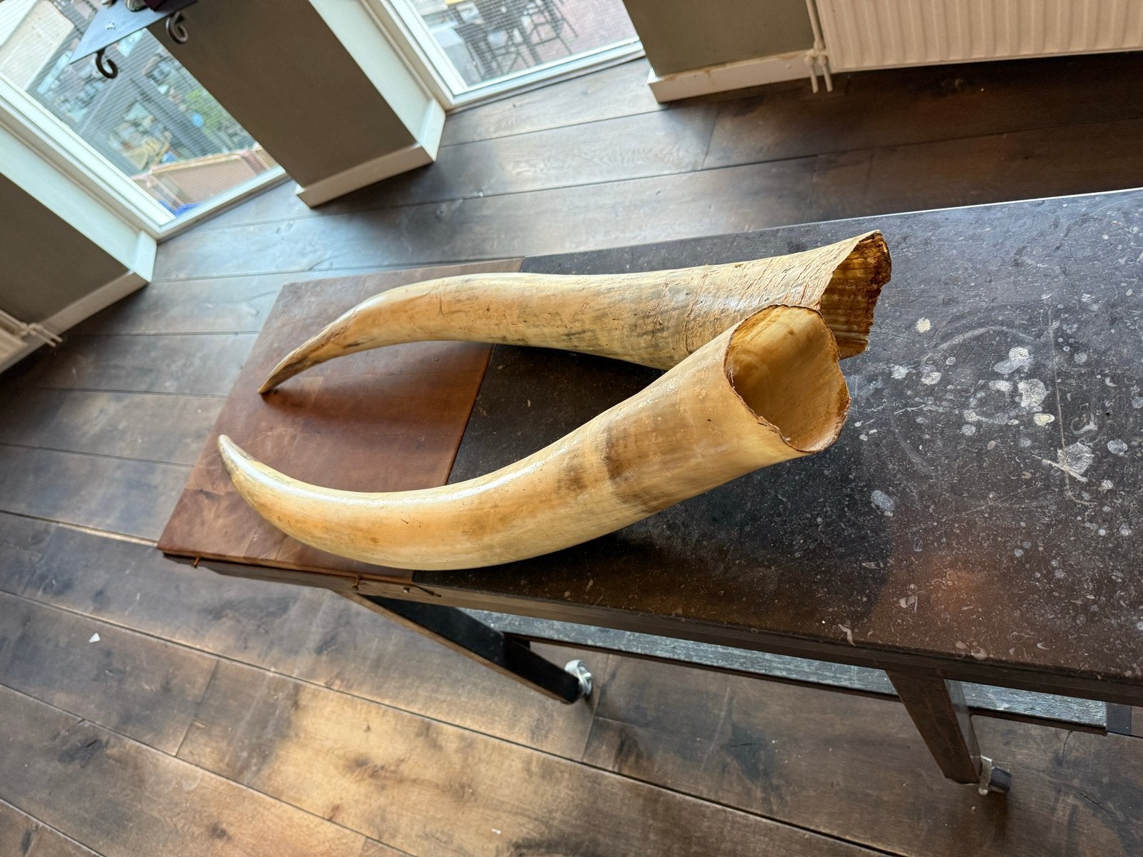 Antieke grote hoorns, Ophalen
