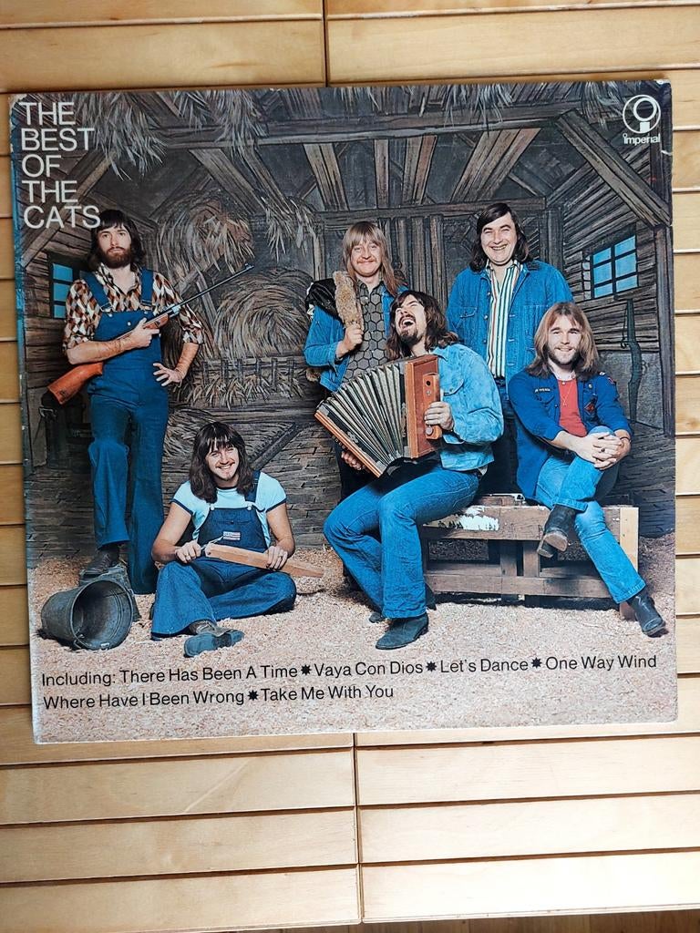 The Best of The Cats LP - Klassieke Nederpop Vinyl, Gebruikt, Ophalen of Verzenden, 12 inch, Complilatie