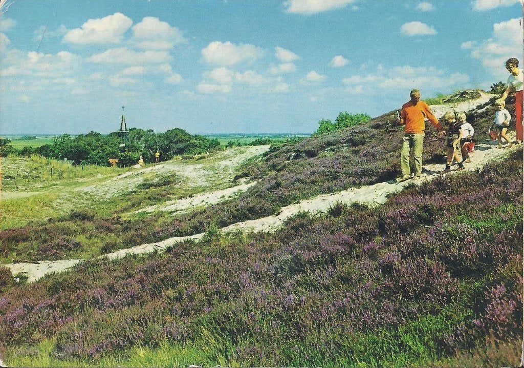 Ame15 gelopen ansichtkaart groet camperduin, Ophalen of Verzenden, 1980 tot heden, Noord-Holland