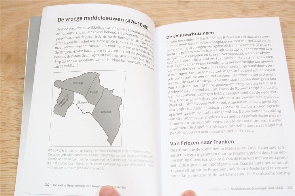 Groningen voor Dummies — Kleine Geschiedenis van de Stad, Ophalen of Verzenden, Zo goed als nieuw