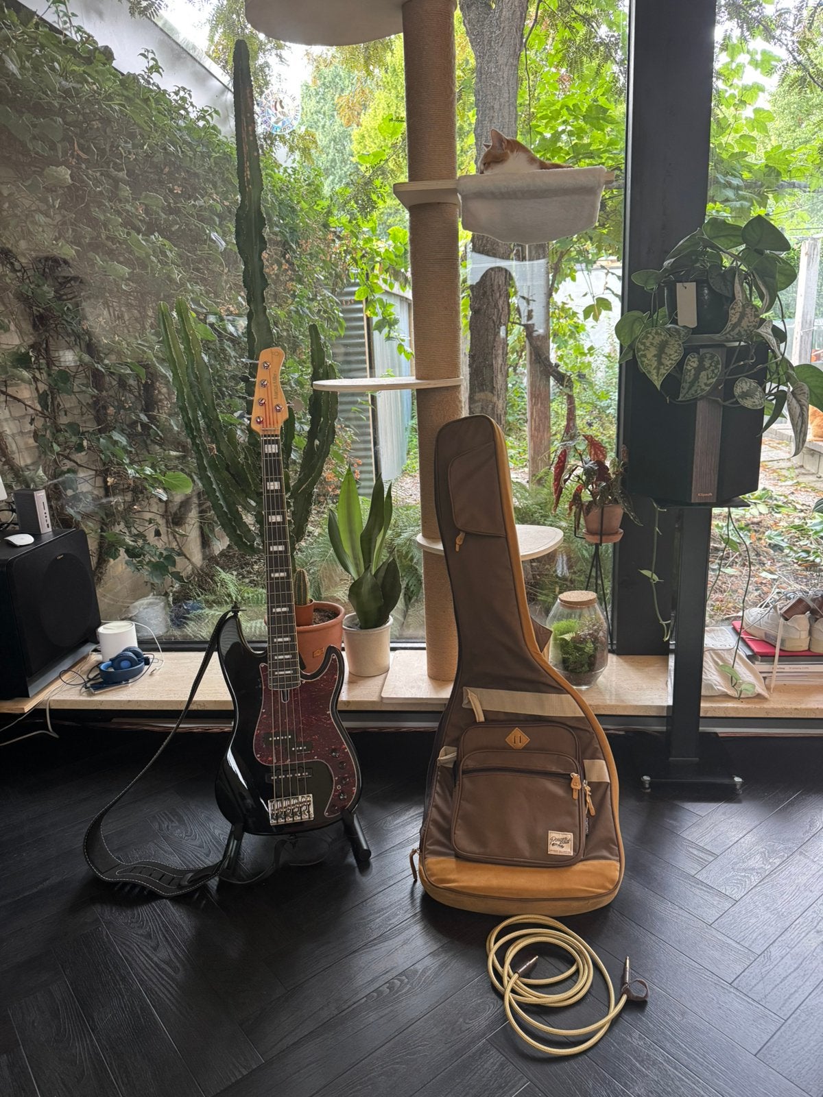 Miller P7 bass guitar, Muziek en Instrumenten, Ophalen, Zo goed als nieuw, Semi-solid body