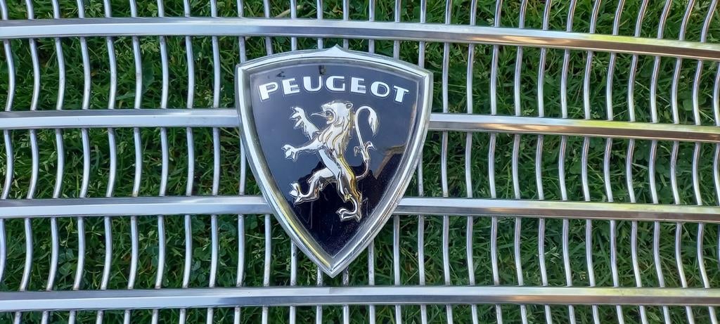 Grille Peugeot 404, Ophalen of Verzenden, Peugeot
