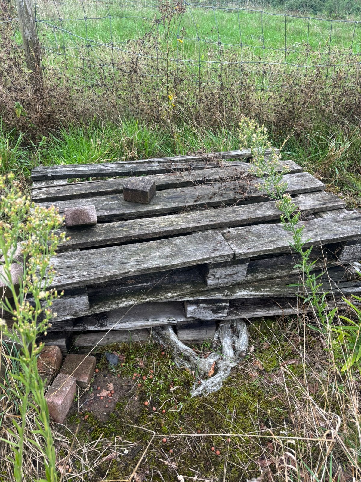 Brandhout, Ophalen of Verzenden, Zo goed als nieuw, Hout