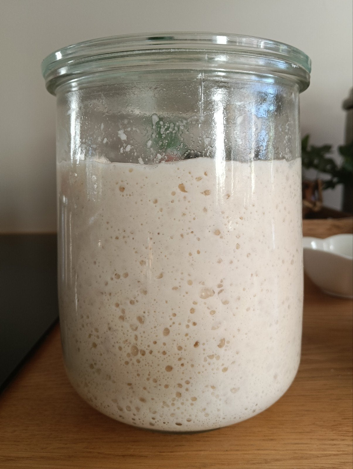 Zeer sterke zuurdesem starter, Diversen, Ophalen