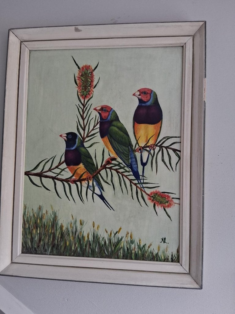 GOULDAMADINES EN MEER??, Ophalen, Gebruikt, Overige materialen, Overige typen