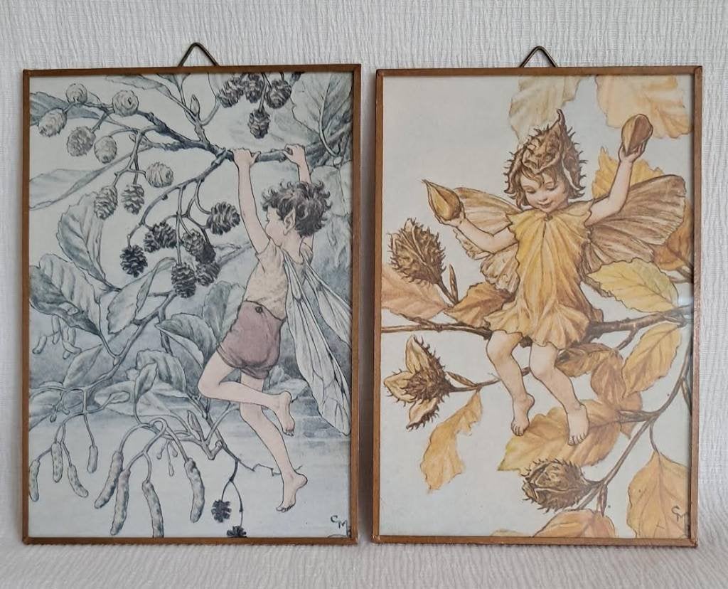 2 Vintage Flower Fairies schilderijtjes (Cicely Mary Barker), Antiek en Kunst, Ophalen of Verzenden, Achter glas