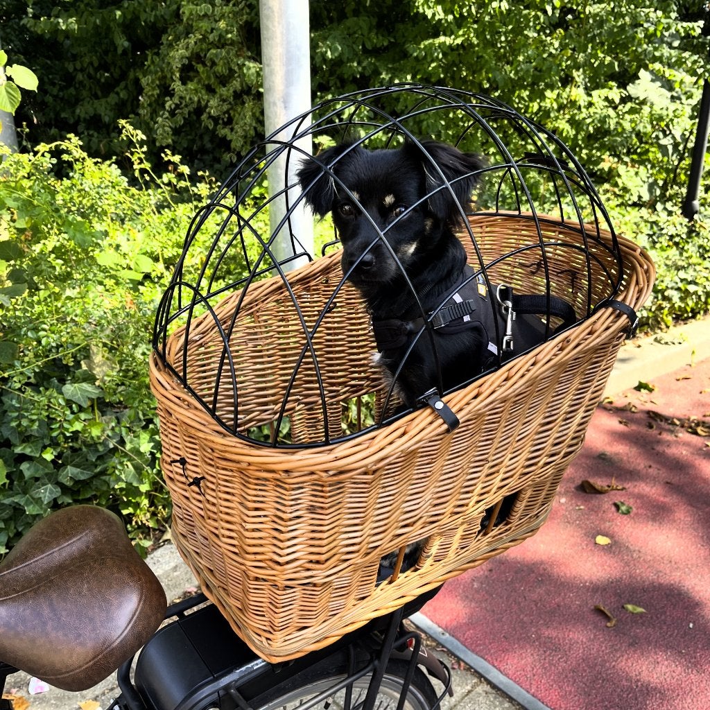 Basil dog bike basket incl. top, Basil, Ophalen, Zo goed als nieuw, Hondenfietsmand