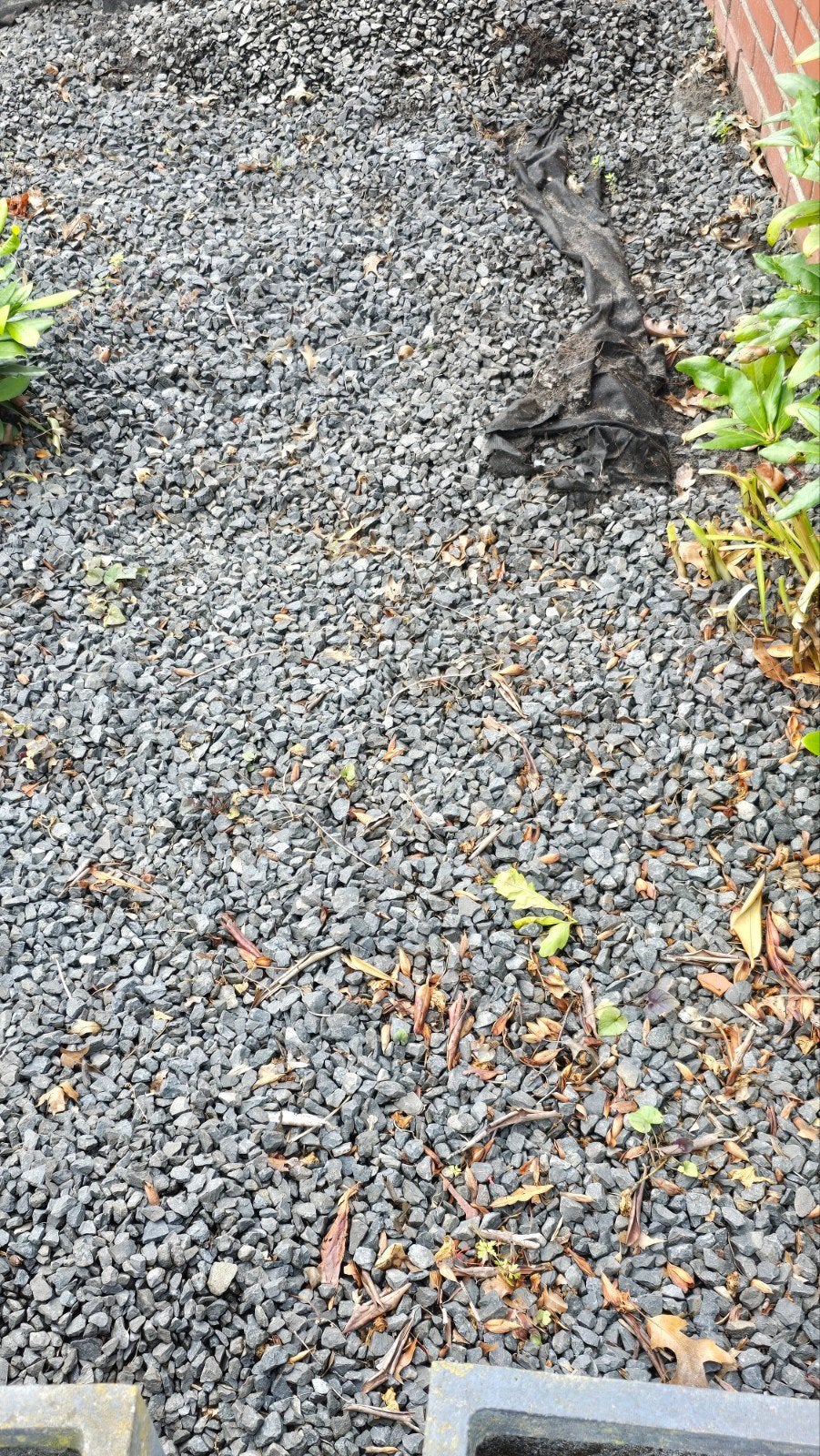 Gratis Basalt Split, totaal ca 2 kuub, Tuin en Terras, Grind, Keien en Split, Ophalen, Antraciet, Basalt, Split