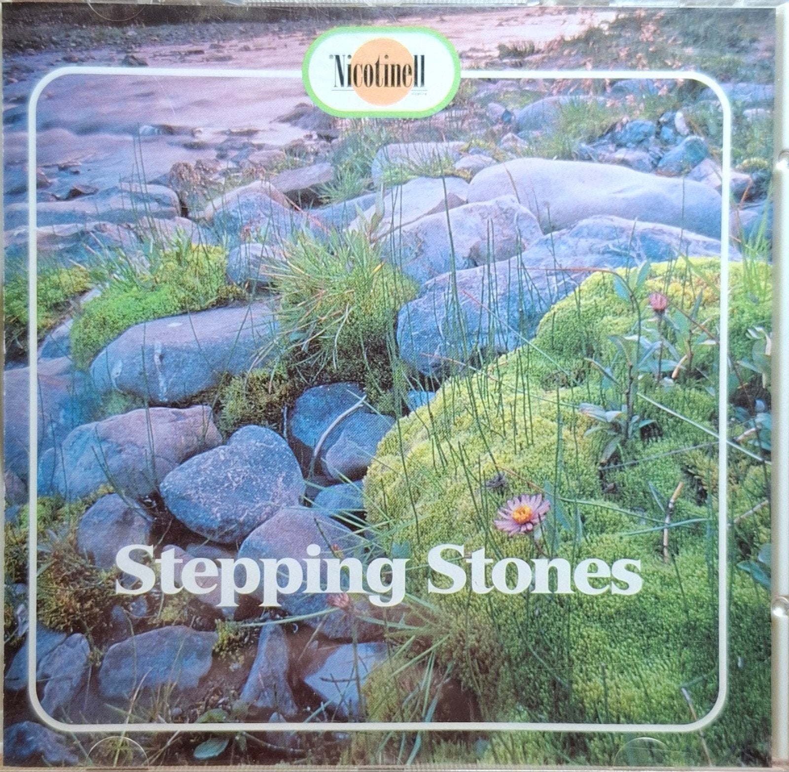 Stepping Stones Nicotinell CD - ZGAN, krasvrij, Ophalen of Verzenden, Zo goed als nieuw