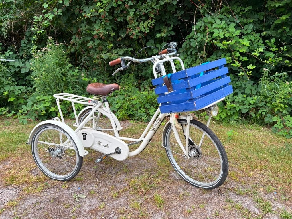 Driewieler volwassenen, Ophalen, Gebruikt, Trommelrem