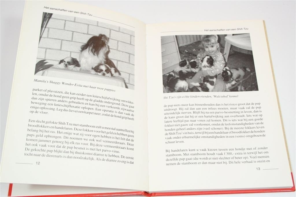 De Shih Tzu als Gezelschapsdier — Handboek, Ophalen of Verzenden, Gelezen, Honden