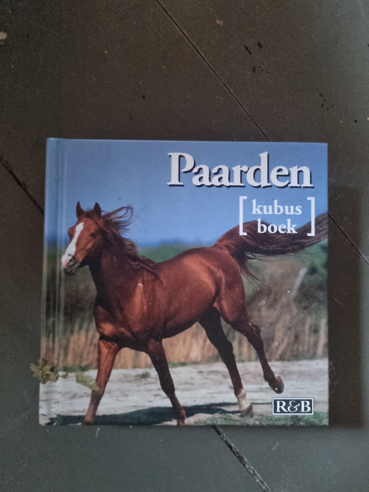 Paarden Kubus Boek - Harde Kaft, Ophalen of Verzenden, Zo goed als nieuw, Paarden of Pony's, Onbekend