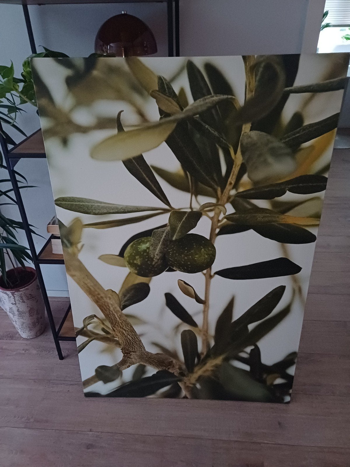 olijftak schilderij, Ophalen of Verzenden, Zo goed als nieuw, 125 cm of meer, Schilderij